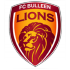 Bulleen Lions logo
