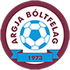 Home team logo