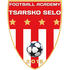 Home team logo
