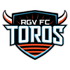 Home team logo