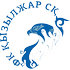 Home team logo