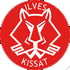 Home team logo