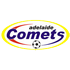 Away team logo