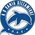 Home team logo