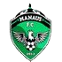Home team logo