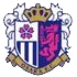 Home team logo