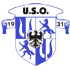 Home team logo