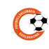 Home team logo