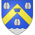 Home team logo