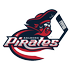 Home team logo