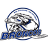 Home team logo