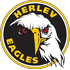 Away team logo