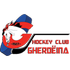 Away team logo