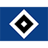 Home team logo
