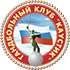 Home team logo