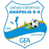 Home team logo