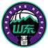 Home team logo