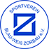 Home team logo