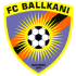 Home team logo