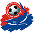 Home team logo