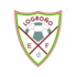 Home team logo
