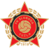 Home team logo