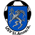 Home team logo