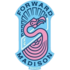Home team logo