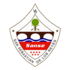 Home team logo