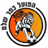 Hapoel Kfar Shalem logo