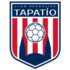 Home team logo
