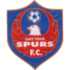 Home team logo