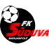 Home team logo