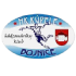 Home team logo