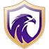 Away team logo