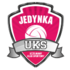 Away team logo
