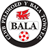 Home team logo