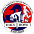 Home team logo