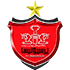 Away team logo