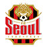 Home team logo