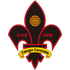 Home team logo