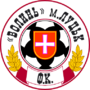 Home team logo