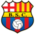 Home team logo