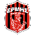 Home team logo