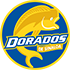 Away team logo
