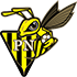 Away team logo