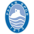 Home team logo