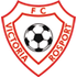 Home team logo