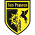 Home team logo