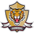 Home team logo